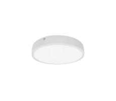 61003542 - LED Plafon łazienkowy EGON LED/16W/230V IP44 3000K