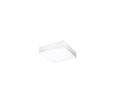 Azzardo AZ2268 - LED Plafon MONZA SQUARE 1xLED/20W/230V