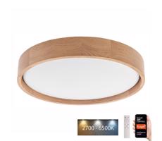 Brilagi - LED Plafon MANAROLA SMART LED/24W/230V + pilot Tuya