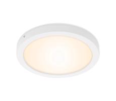 Briloner 7141-016 - LED Plafon FIRE LED/21W/230V