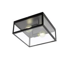 Eglo 49392 - Lampa sufitowa CHARTERHOUSE 2xE27/60W/230V