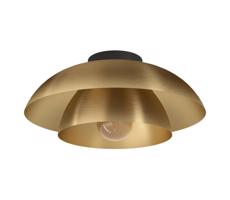 Eglo 900848 - Lampa sufitowa CENCIARA 1xE27/40W/230V