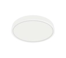 Emithor 49035 - LED Łazienkowe oświetlenie sufitowe LENYS LED/12W/230V IP44