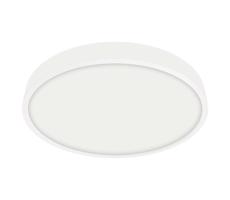 Emithor 49037 - LED Łazienkowe oświetlenie sufitowe LENYS LED/24W/230V IP44