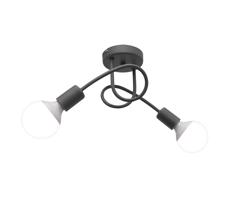 Lampa sufitowa OXFORD 2xE27/60W/230V srebrny