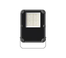 LED Naświetlacz PROFI PLUS LED/50W/230V 5000K