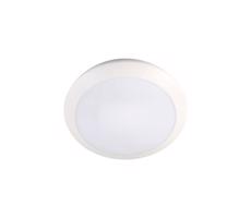 LED Oświetlenie łazienkowe z czujnikiem LED/20W/230V 3000/4000/6000K IP66