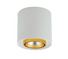 LED Oświetlenie punktowe XENO LED/15W/230V biały 1200lm