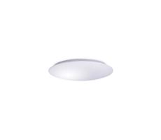 LED Plafon AVESTA LED/12W/230V IP54