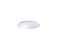 LED Plafon AVESTA LED/28W/230V IP54