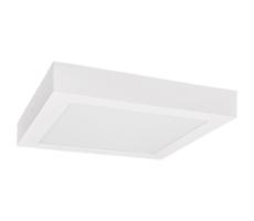 LED Plafon FENIX LED/18W/230V 3800K 22,5 cm śnieg biały