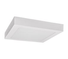 LED Plafon FENIX LED/24W/230V 2800K 29,8 cm