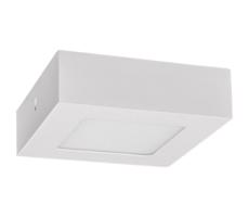 LED Plafon FENIX LED/6W/230V 2800K 12 cm