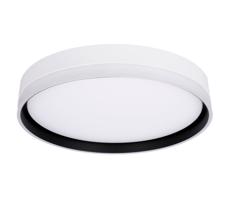 LED Plafon FLORIDA LED/24W/230V białe