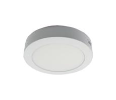 LED Plafon LED/12W/230V 3000K