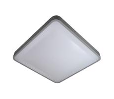 LED Plafon WILTON LED/24W/230V szary