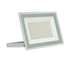 LED Reflektor zewnętrzny NOCTIS LUX 3 LED/100W/230V 4000K IP65 biały