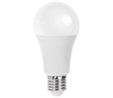 LED Żarówka A60 E27/21W/230V 6500K -