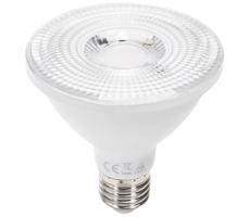 LED Żarówka PAR30 E27/12W/230V 3000K -