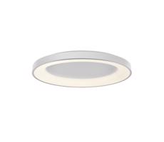 LED2 - LED Plafon ściemnialny BELLA LED/80W/230V 3000K/4000K białe