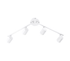 Leuchten Direkt 11944-16 - LED Oświetlenie punktowe TARIK 4xGU10/5W/230V białe