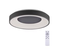 Leuchten Direkt 14326-18 - LED Oświetlenie ściemnialne ANIKA LED/30W/230V + PILOT