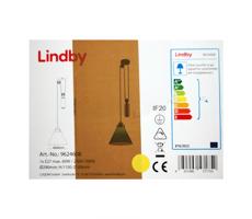 Lindby - Żyrandol na lince ALECKS 1xE27/60W/230V