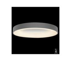 LUXERA 18402 - LED Plafon ściemnialny GENTIS 1xLED/80W/230V