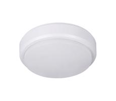 Müller-Licht - LED Plafon zewnętrzny PICTOR LED/8W/230V IP54