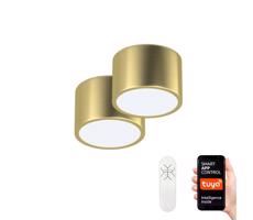 Neo 07127L-BD- Zestaw 2x Lampa ściemnialna LED RONDATE 2xLED/12W/230V +pilot