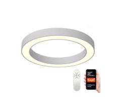 NEO 07144-GR95 - LED Ściemniana lampa PASTEL LED/66W/230V szara + pilot