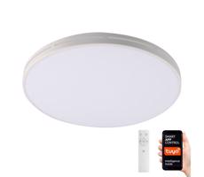 NEO 07146-W42 - Oświetlenie ściemnialne LED NEO LITE 24W/230V Tuya Wi-Fi + pilot