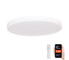 NEO 07149-W40 - LED Ściemniana lampa NEO LITE AREAS 24W/230V Tuya Wi-Fi +pilot