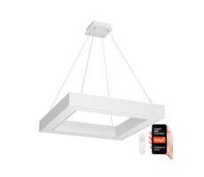 NEO - LED Ściemnialny żyrandol na lince CANTO LED/60W/230V 80x80 cm + ZS