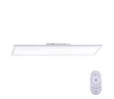 Paul Neuhaus 16533-16-O - LED Ściemniany panel natynkowy FLAT LED/24W/230V + pilot