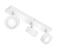 Philips - LED Oświetlenie punktowe BRACIA 3xLED/5,5W/230V białe