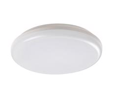 Rabalux 7979 - LED Plafon zewnętrzny ERIC LED/24W/230V IP64