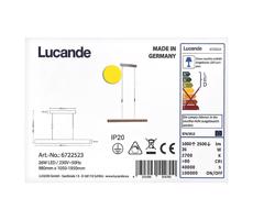 Rothfels - LED Ściemnialny żyrandol na lince ALIN LED/26W/230V